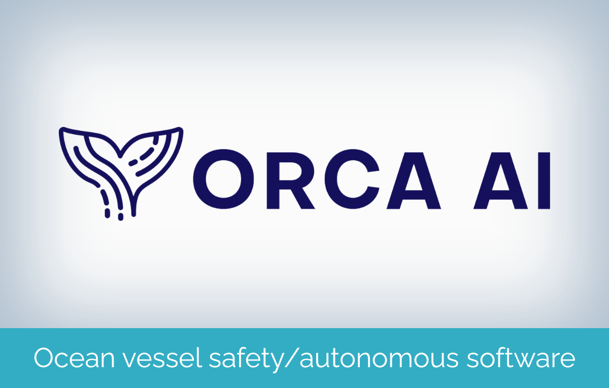 Bark Logo Banner Big