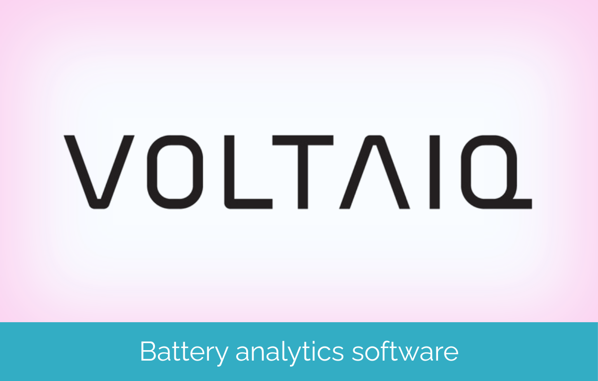 Bark Logo Banner Big